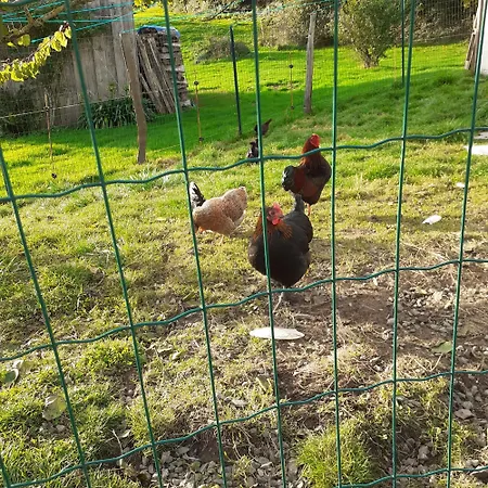 B&B Des Bords De Siame *