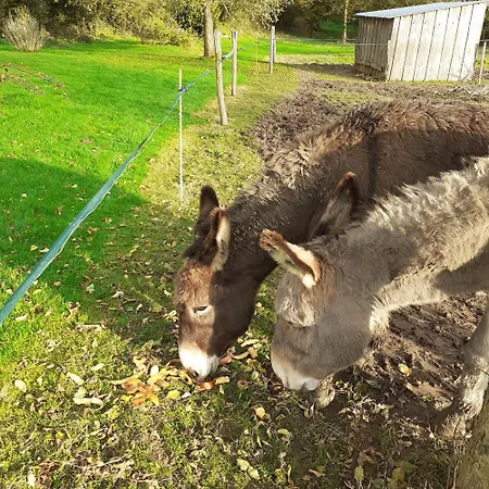 Des Bords De Siame B&B *
