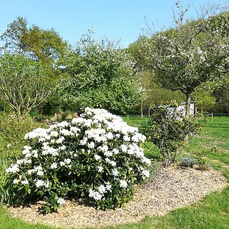 Des Bords De Siame B&B *