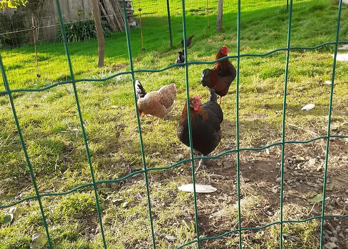 Bed & Breakfast Des Bords De Siame *