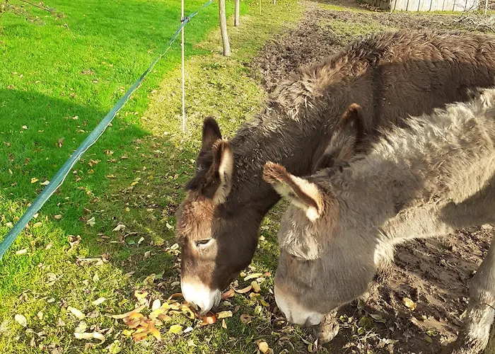 Des Bords De Siame Bed & Breakfast *